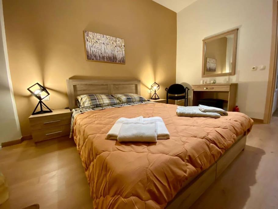 La Maison Κατερίνη Ευρύχωρο Διαμέρισμα Στο Κέντρο エクステリア 写真